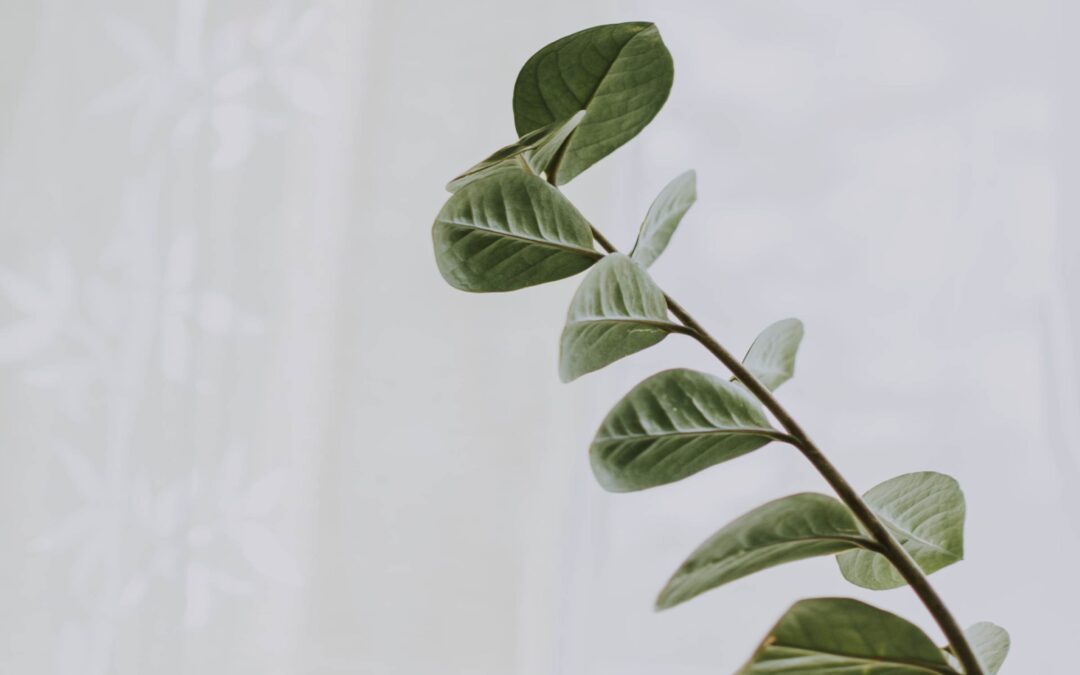 Out-of-Network Psychiatric Care: What You’re Paying For (and Why It Can Be Worth It)